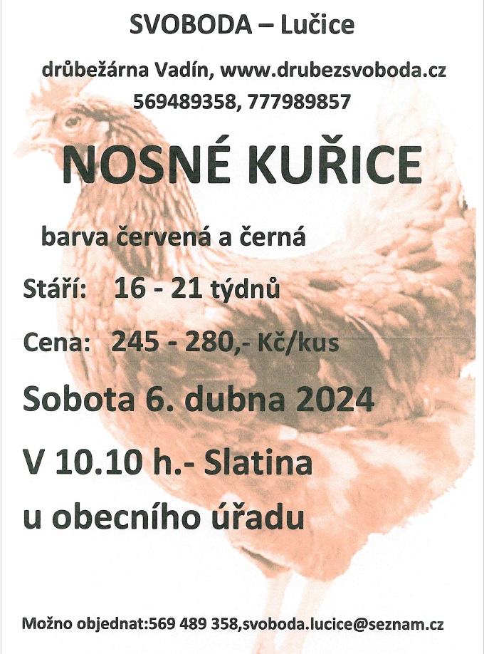 Nosné kuřice