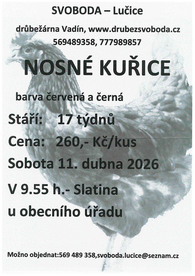 Nosné kuřice