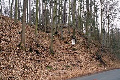 Přístup ke zřícenině hradu (březen 2008)