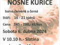 Nosné kuřice