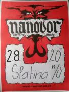 Nanovor
