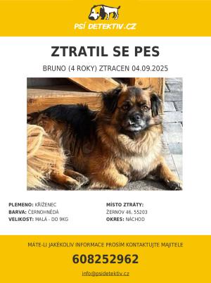 Bruno